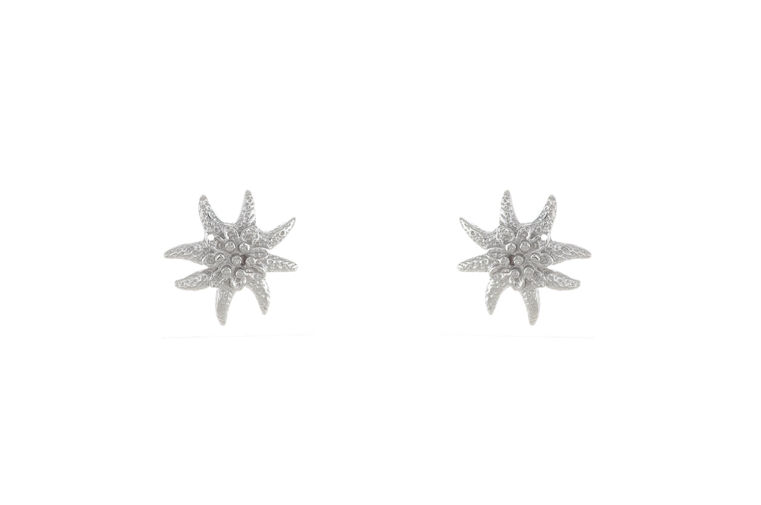 Ohrstecker aus echtem Silber 925 Edelweiss